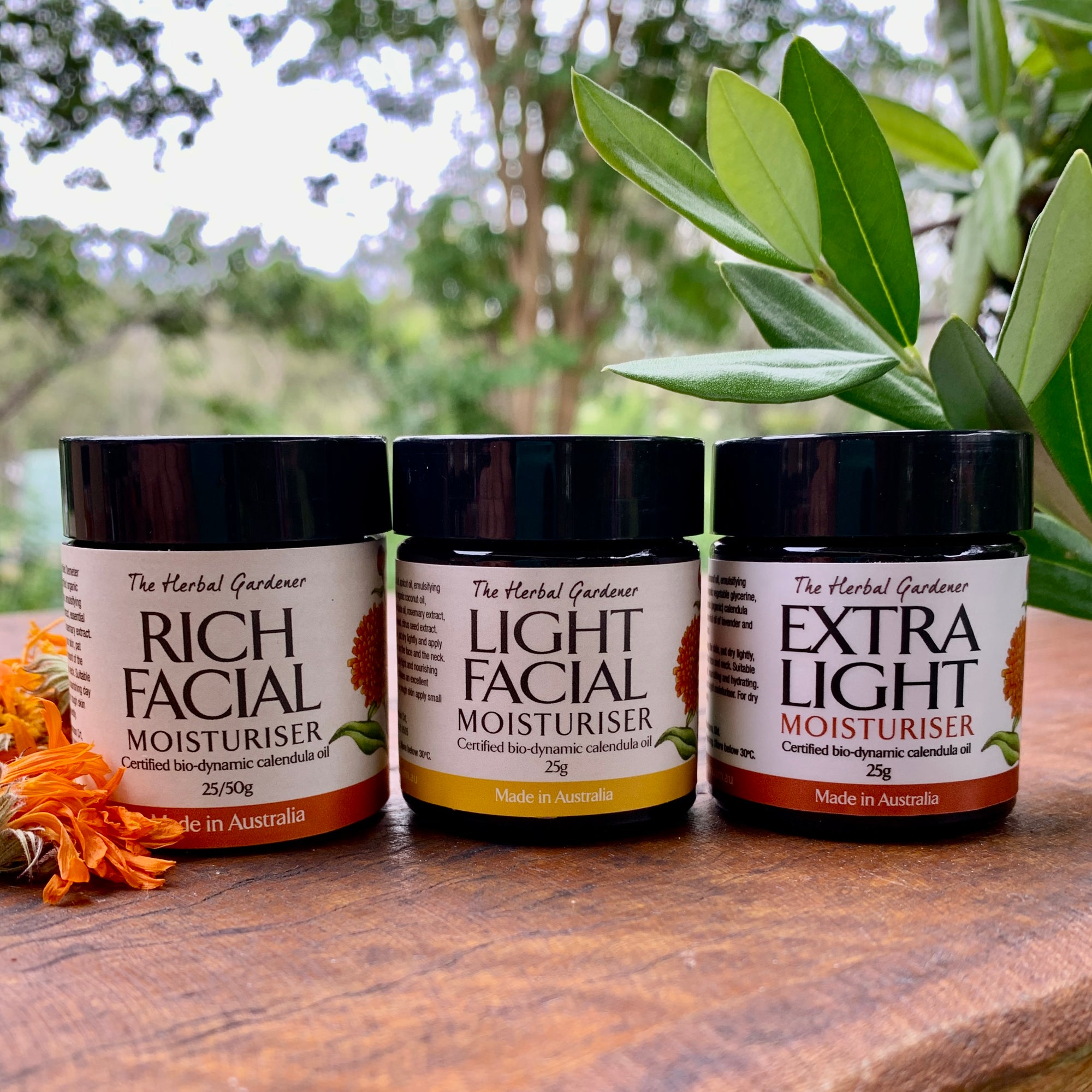 Calendula Moisturisers Trio