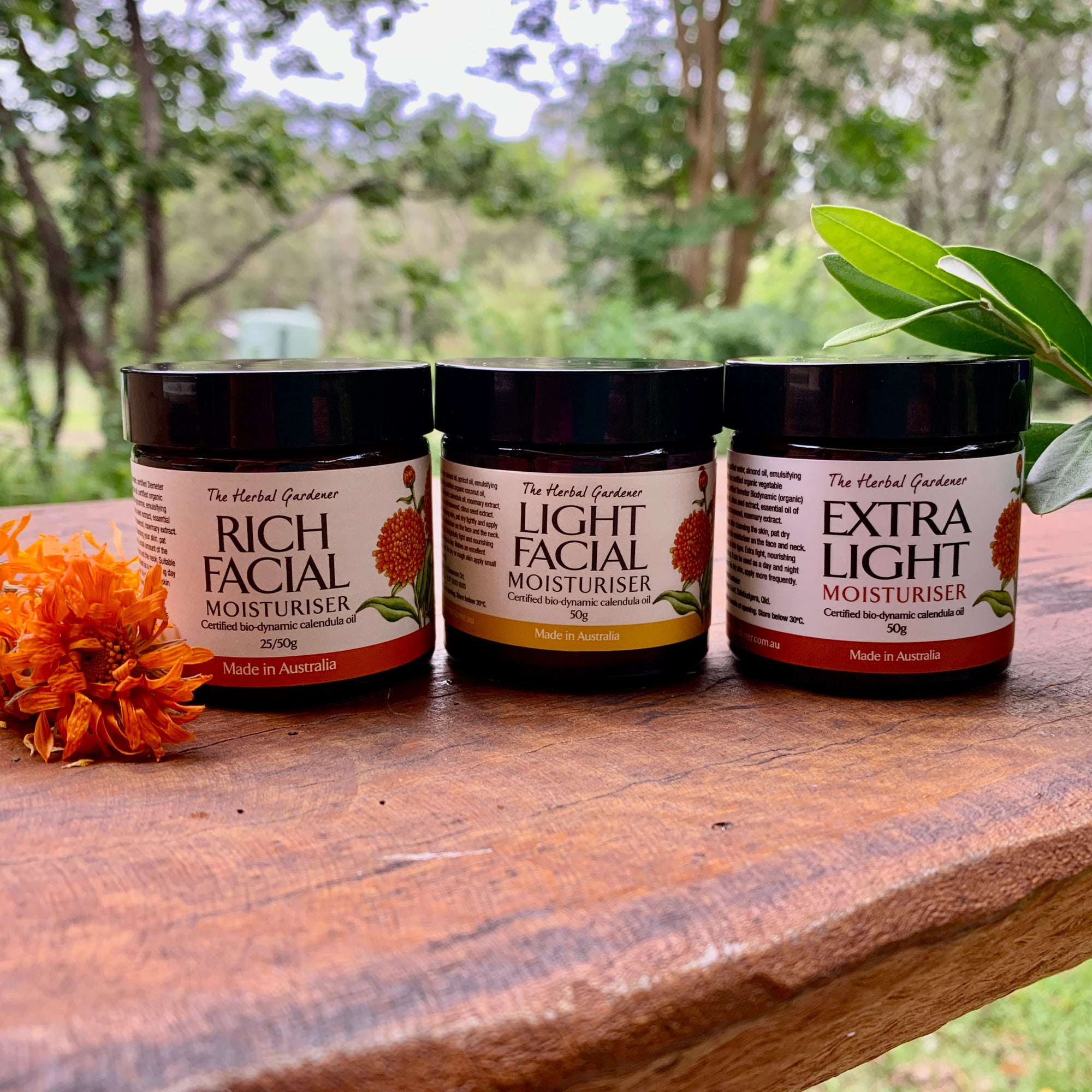Calendula Moisturisers Trio