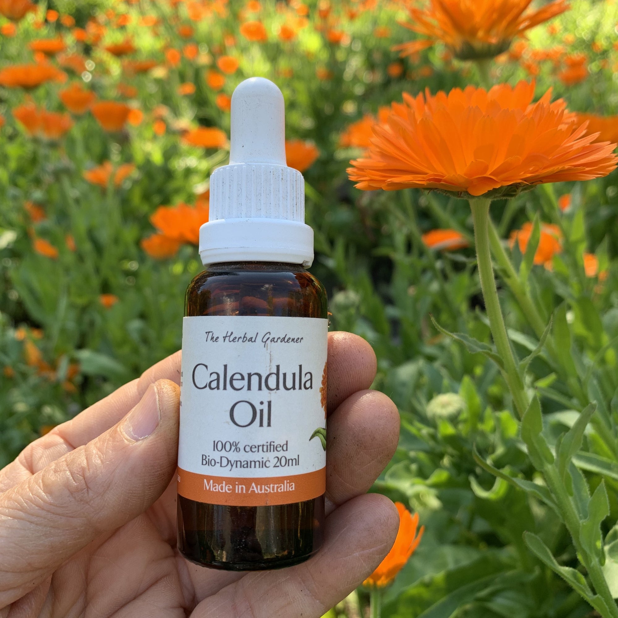 Australian Calendula Face Oil - Certified Demeter Bio-dynamic