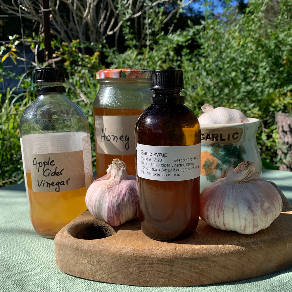 A gift to your immune system - The Herbal Gardener