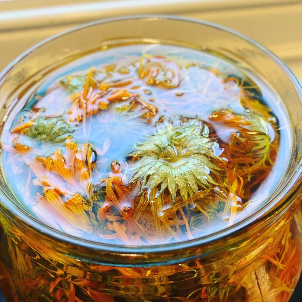 Calendula oil: its benefits as a facial oil - The Herbal Gardener