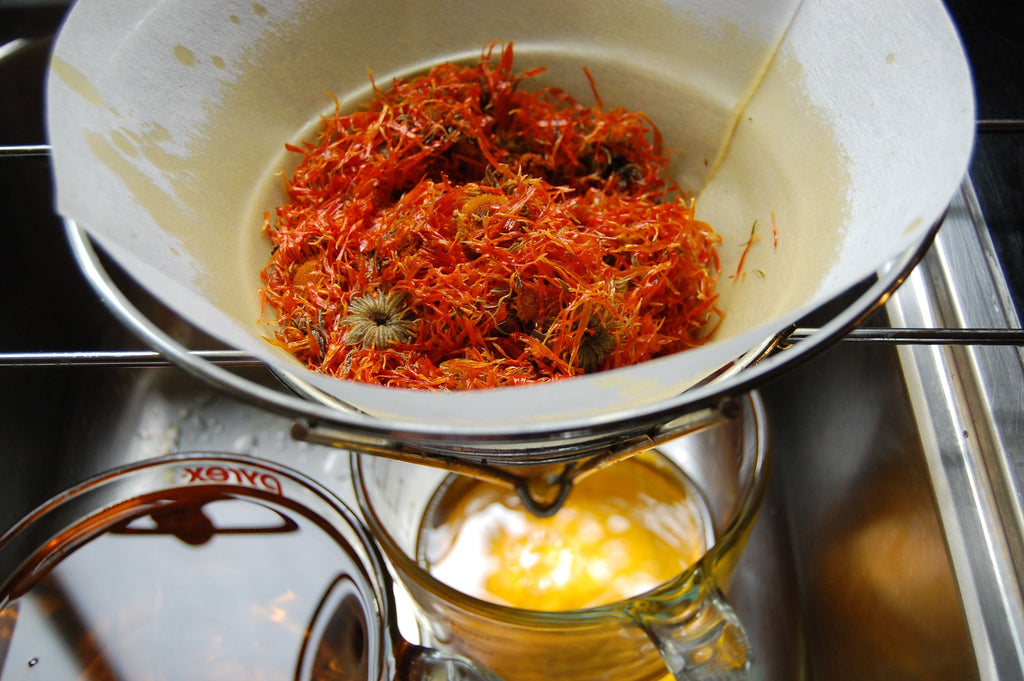 How to use calendula oil to repair your skin? - The Herbal Gardener