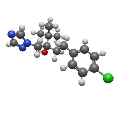 What Endocrine Disrupting Chemicals in skincare do? - The Herbal Gardener