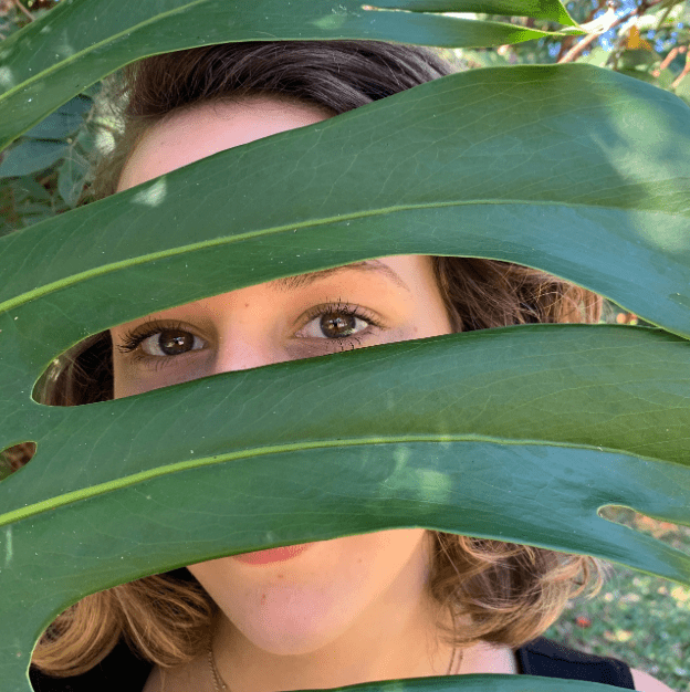 Body skincare products - The Herbal Gardener