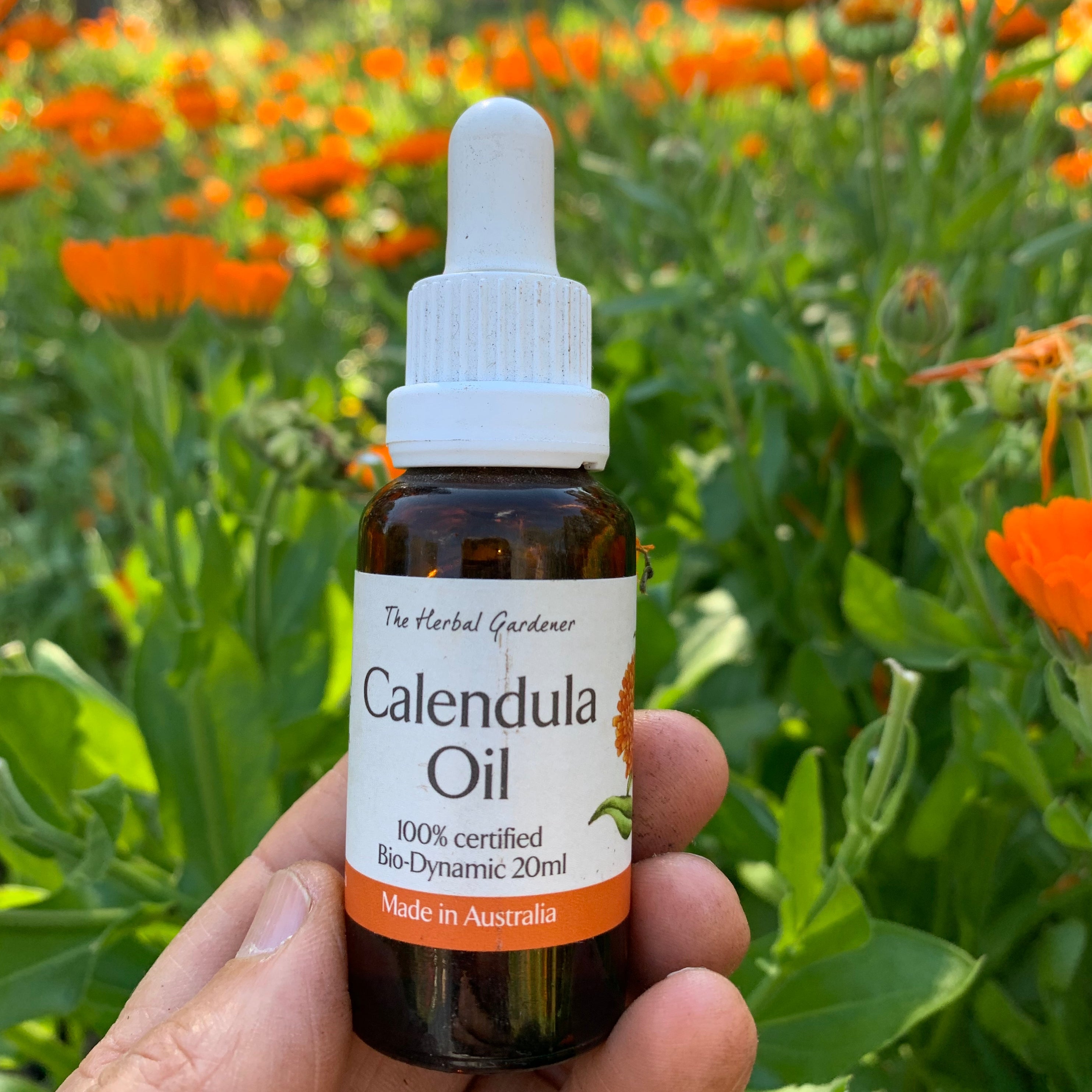 Oily skin - The Herbal Gardener