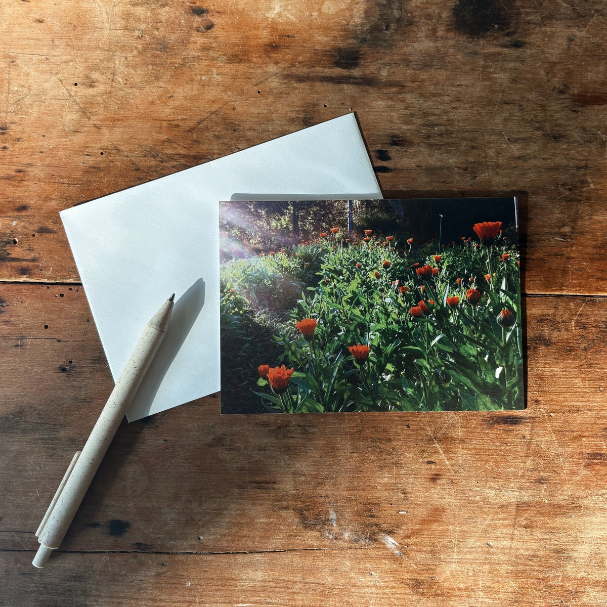 Greeting Card The Herbal Gardener Gift Pack Message