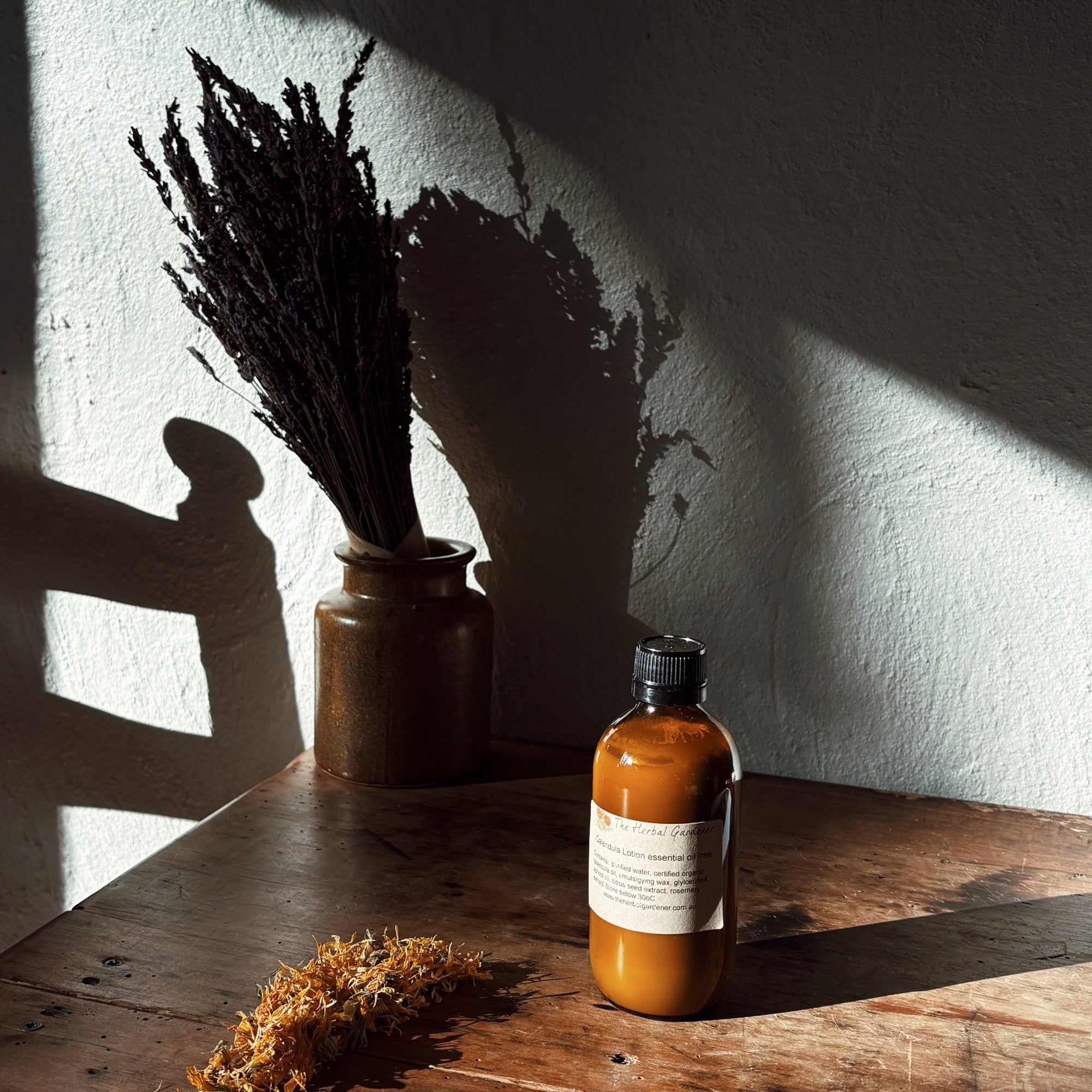 Calendula Lotion essential oil freeThe Herbal Gardener