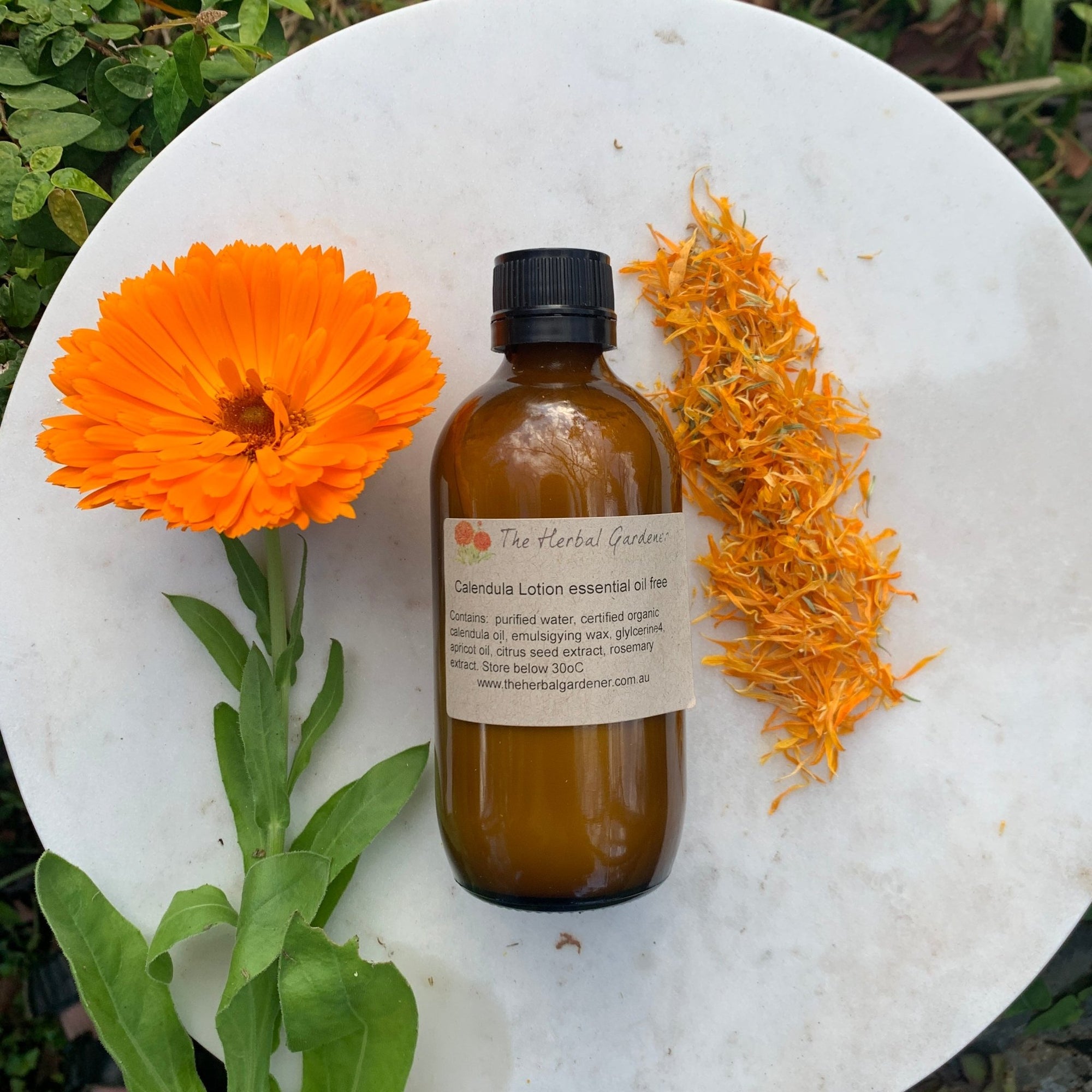 Calendula Lotion essential oil freeThe Herbal Gardener