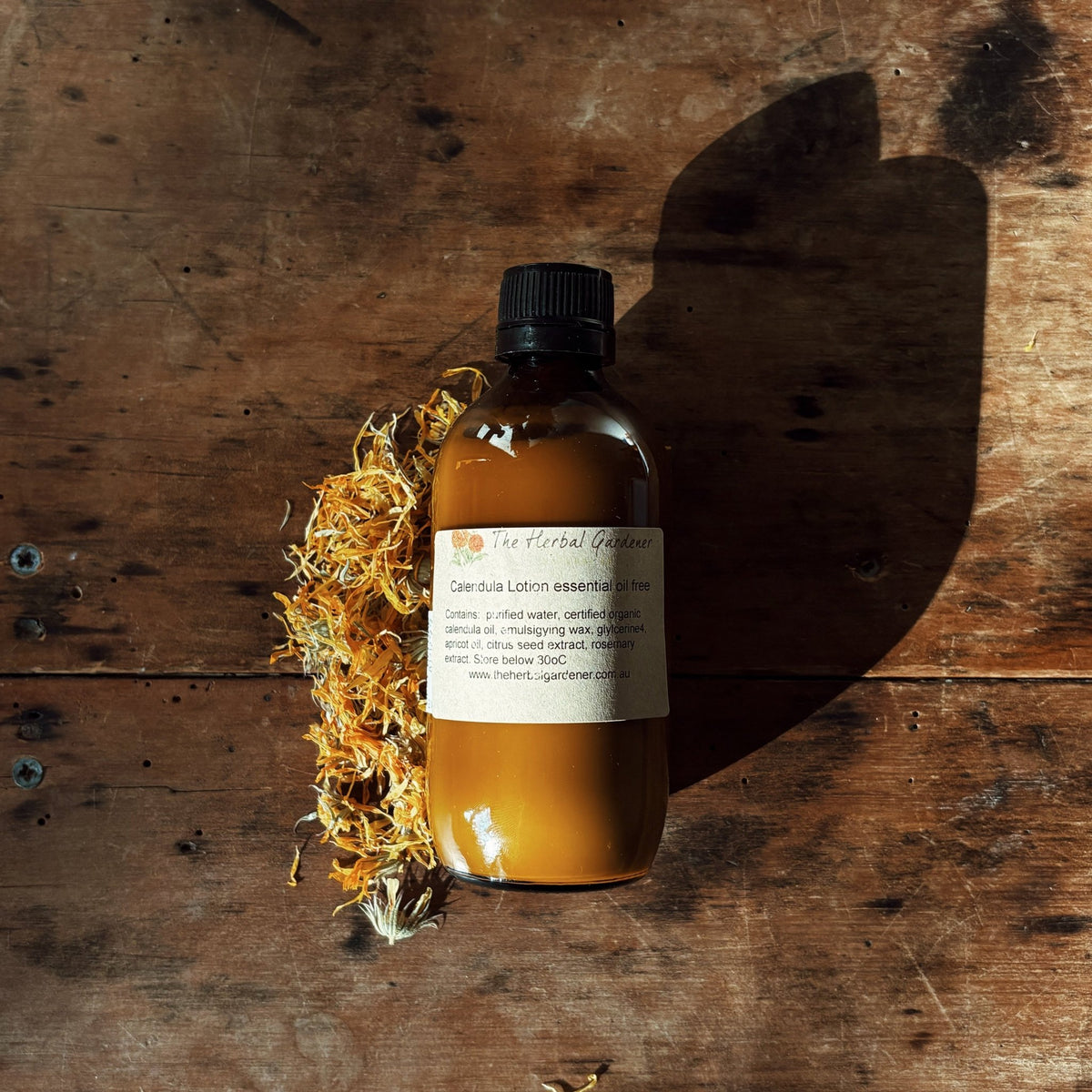 Calendula Lotion essential oil freeThe Herbal Gardener