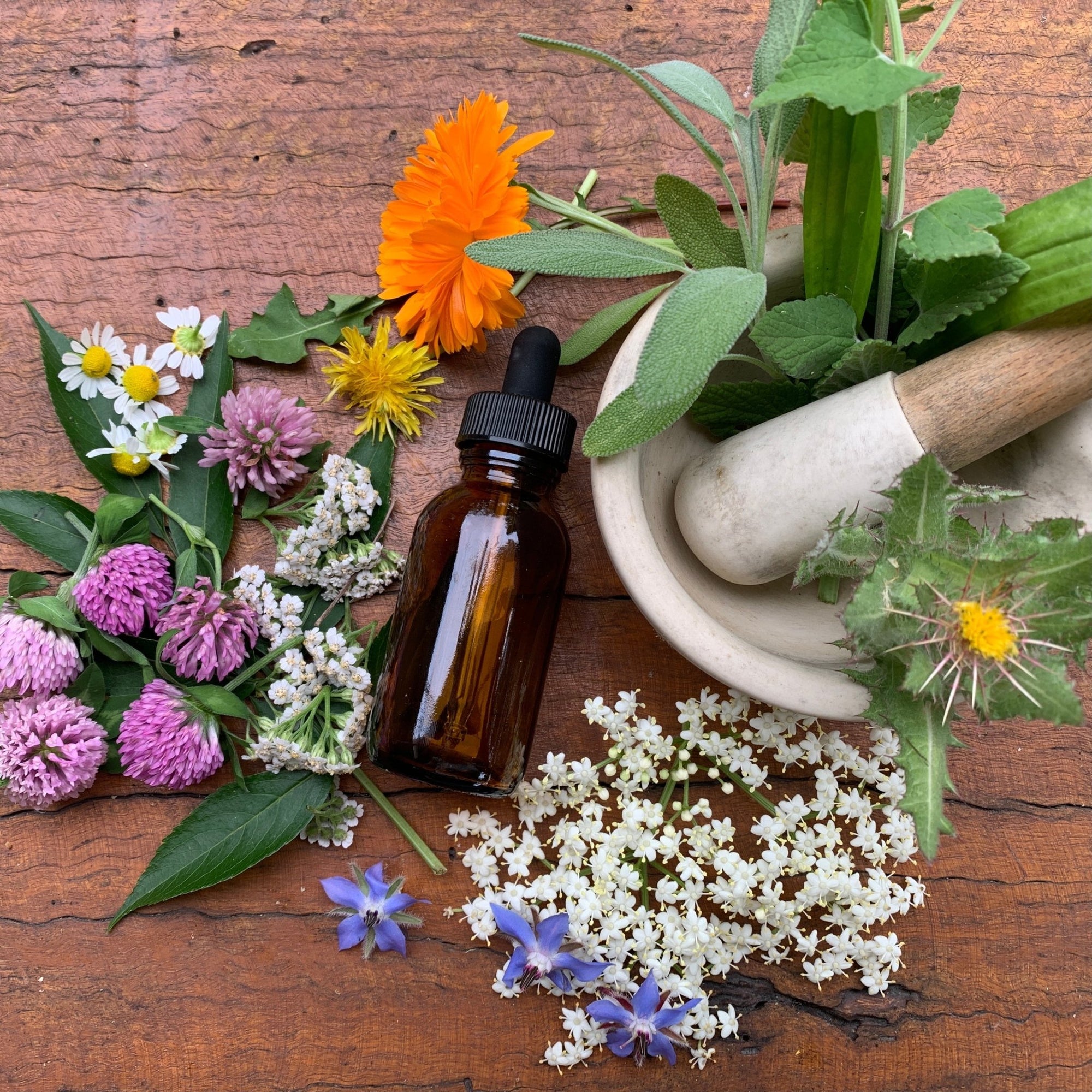 Herbal Care workshop Self-pacedCourseThe Herbal Gardener