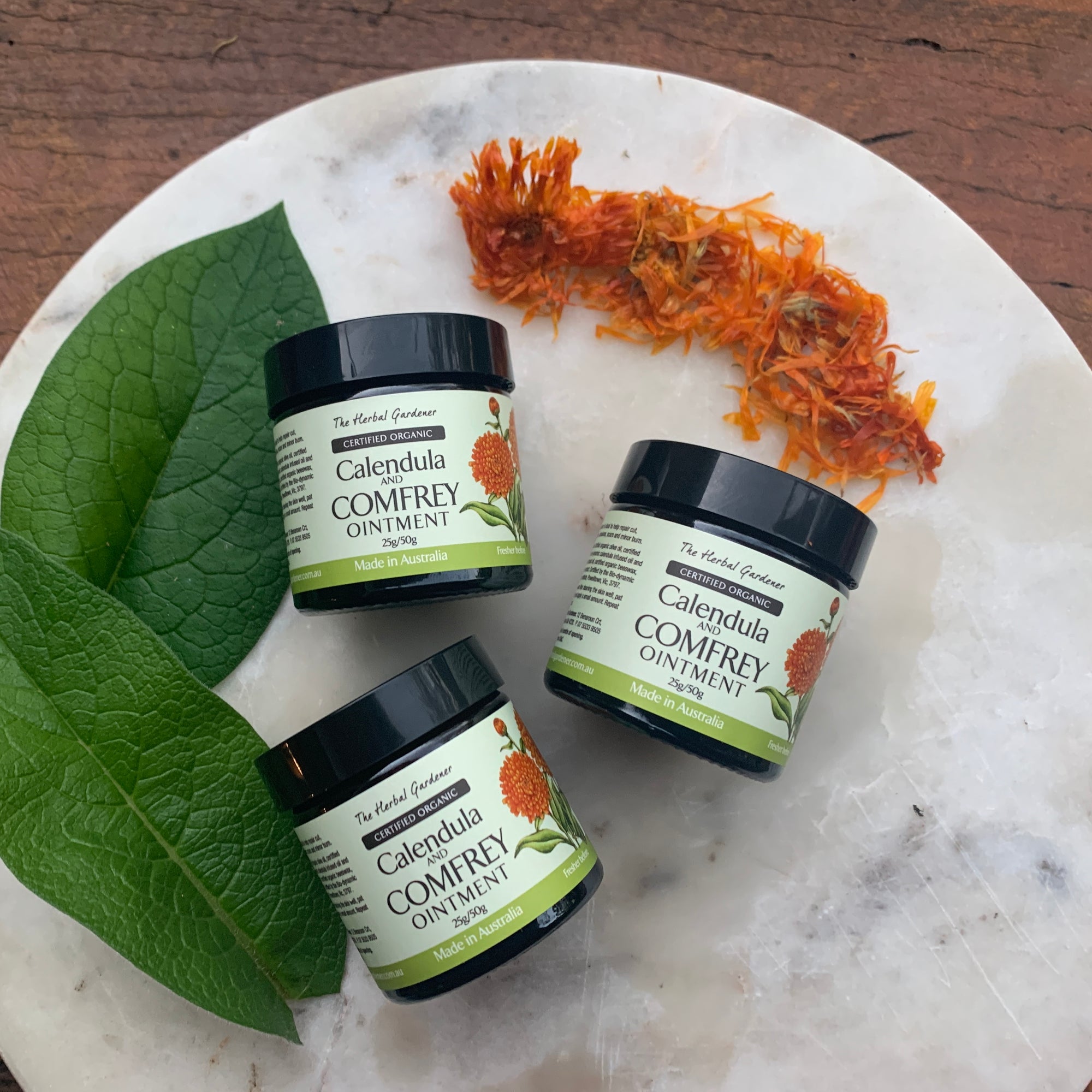 Calendula and Comfrey Ointment 50gr three pack with two comfrey leaves and dried calendula on a marble and wooden background The Herbal Gardener