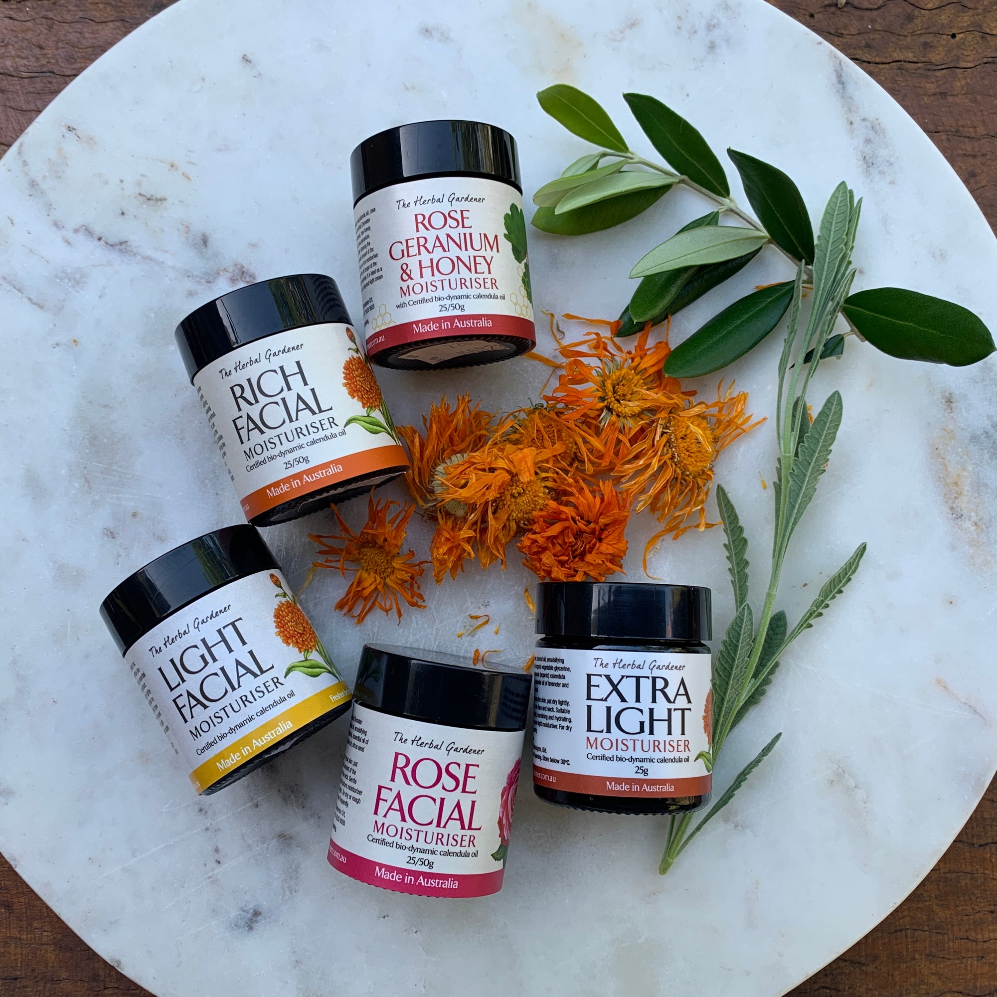 Calendula Facial Moisturiser Discovery Set with Extra Light, Light Facial, Rich Facial, Rose Facial and Rose Geranium & Honey Moisturiser 25gr each