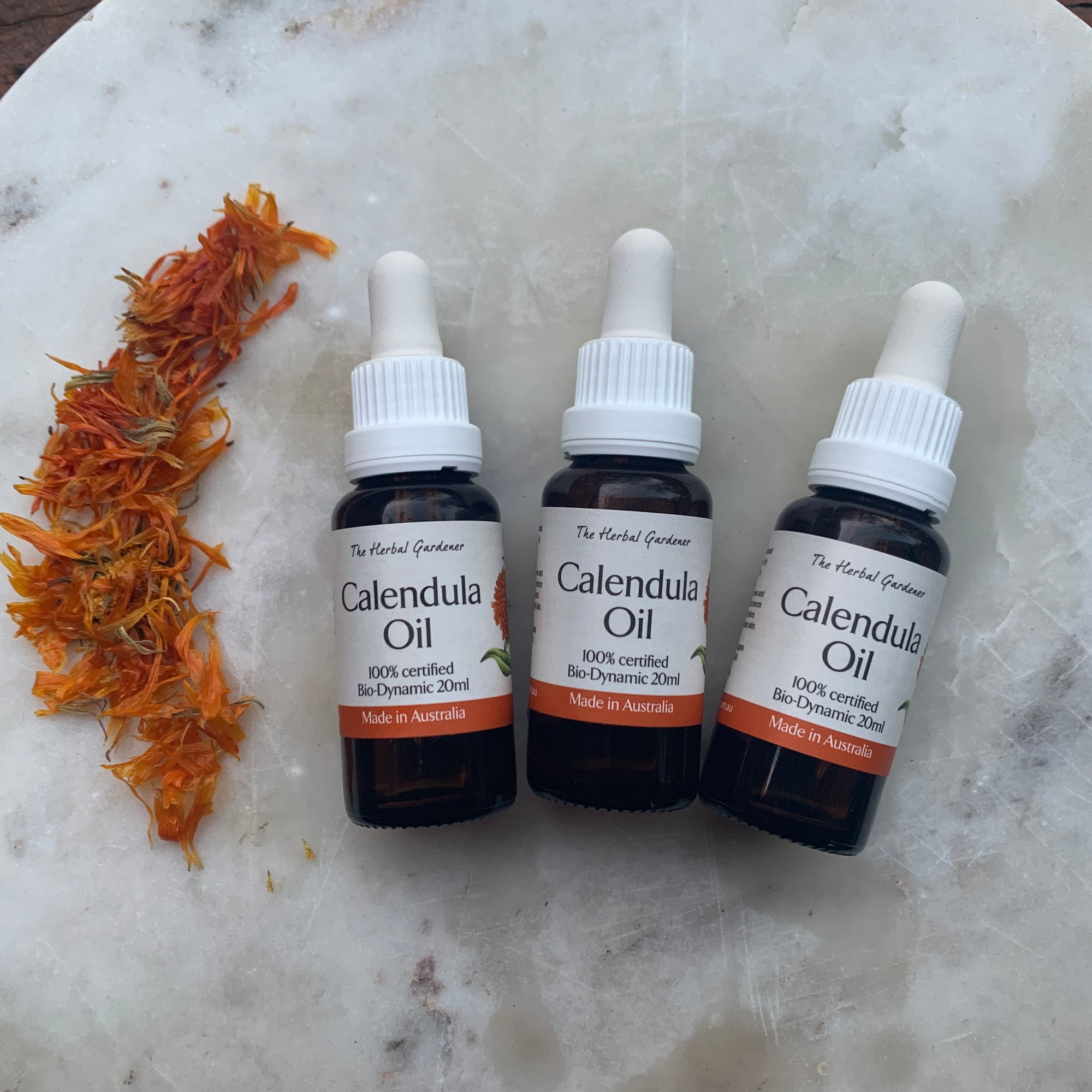 Calendula Oil Three Bottle pack of 20 mL each with dried calendula on a marble background The Herbal Gardener