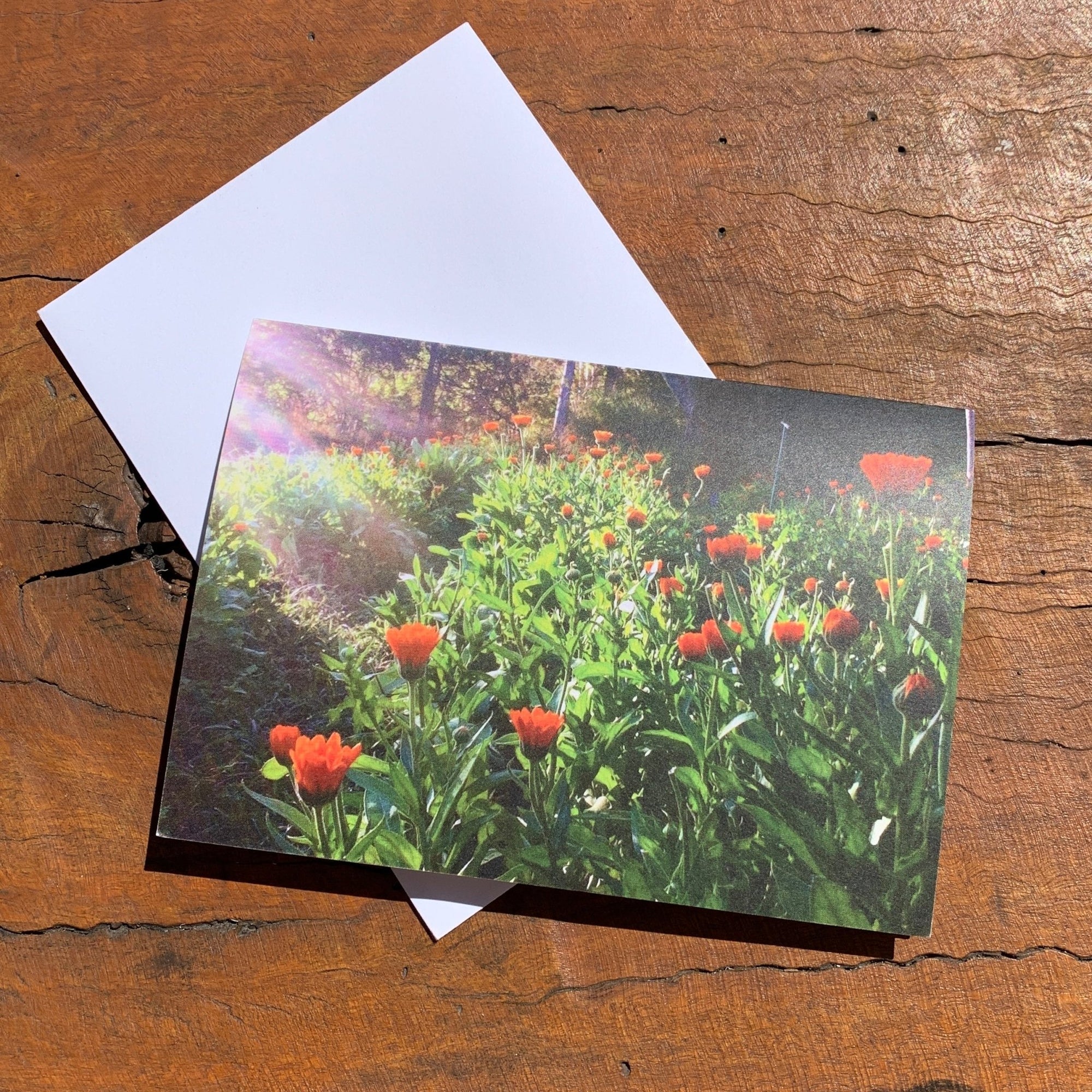 Greeting cardThe Herbal Gardener
