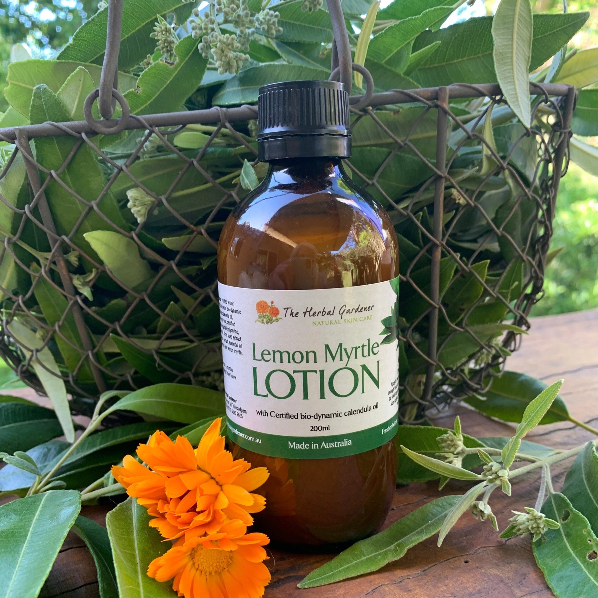 Lemon Myrtle and Calendula LotionThe Herbal Gardener