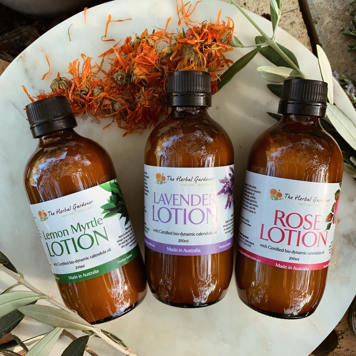Lotion Discovery Set The Herbal Gardener
